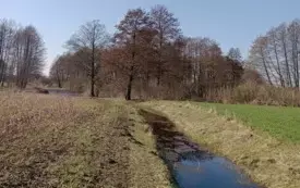 Nowy użytek ekologiczny na terenie Gminy Dobrcz 3