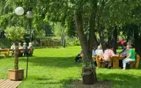 Piknik Senior&oacute;w w Śliwkowym Sadzie 