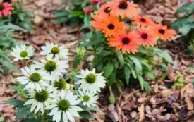 "Rewitalizacja przestrzeni pałacowo&ndash;parkowej w Strzelcach G&oacute;rnych" - pierwszy etap