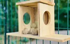 "Rewitalizacja przestrzeni pałacowo&ndash;parkowej w Strzelcach G&oacute;rnych" - pierwszy etap