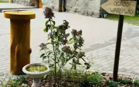 "Rewitalizacja przestrzeni pałacowo&ndash;parkowej w Strzelcach G&oacute;rnych" - pierwszy etap