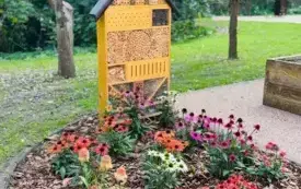 "Rewitalizacja przestrzeni pałacowo&ndash;parkowej w Strzelcach G&oacute;rnych" - pierwszy etap