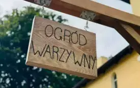 "Rewitalizacja przestrzeni pałacowo&ndash;parkowej w Strzelcach G&oacute;rnych" - pierwszy etap