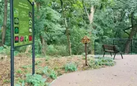 "Rewitalizacja przestrzeni pałacowo&ndash;parkowej w Strzelcach G&oacute;rnych" - pierwszy etap