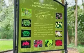 "Rewitalizacja przestrzeni pałacowo&ndash;parkowej w Strzelcach G&oacute;rnych" - pierwszy etap