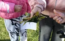 Klub Młodego Ekologa &ndash; projekt unijny &bdquo;Wspieranie dzieci w procesie edukacji&rdquo;