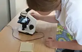 Klub Młodego Ekologa &ndash; projekt unijny &bdquo;Wspieranie dzieci w procesie edukacji&rdquo;