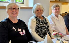 Radość, muzyka i wsp&oacute;lnota &ndash; Piknik Senior&oacute;w w Śliwkowym Sadzie