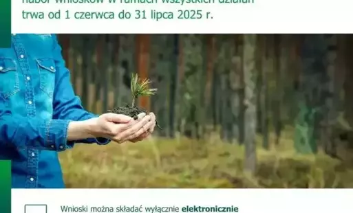Zdjęcie do Nabor wniosk&oacute;w na Interwencje leśne lub zadrzewieniowe