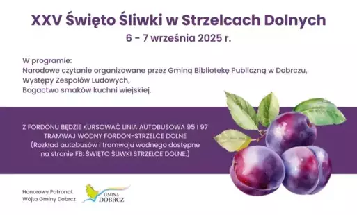 Zdjęcie do XXV Święto Śliwki w Strzelcach Dolnych