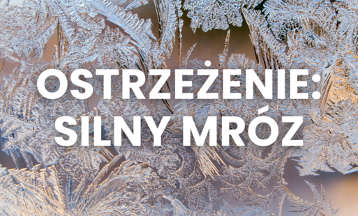 Zdjęcie do OSTRZEŻENIE: silny mr&oacute;z