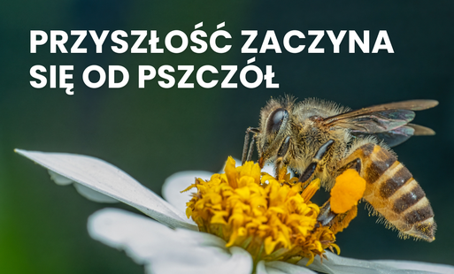 Zdjęcie do Przyszłość zaczyna się od pszcz&oacute;ł
