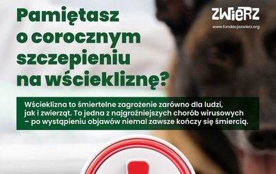 Zdjęcie do Akcja szczepień przeciwko wściekliźnie planowana przez lekarza weterynarii