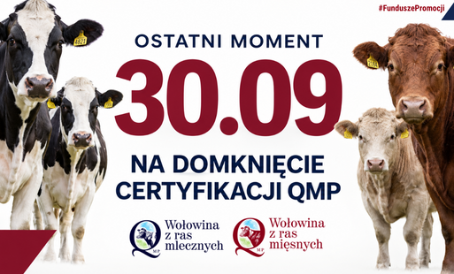 Zdjęcie do Certyfikat QMP &mdash; termin uzyskania upływa 30 września 2026 r.