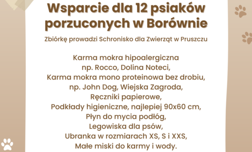 Zdjęcie do Zbi&oacute;rka dla 12 psiak&oacute;w porzuconych w Bor&oacute;wnie