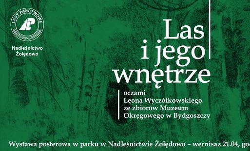 Zdjęcie do Wernisaż wystawy "Las i jego wnętrze oczami Leona Wycz&oacute;łkowskiego ze zbior&oacute;w Muzeum Okręgowego w Bydgoszczy"