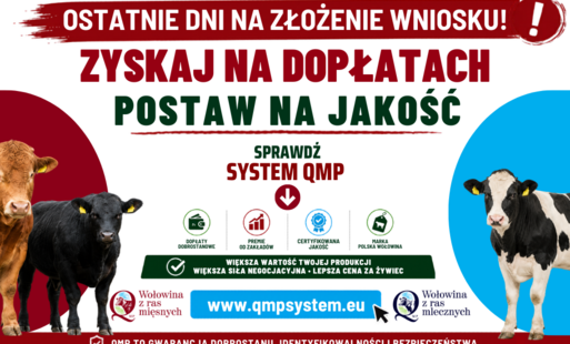 Zdjęcie do Ekoschemat &bdquo;Dobrostan zwierząt&rdquo;
