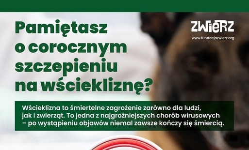 Zdjęcie do Obowiązkowe szczepienie ps&oacute;w przeciwko wściekliźnie