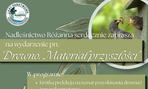 Zdjęcie do Drewno. Materiał Przyszłości