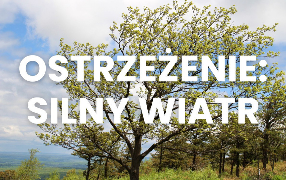 Silny OSTRZEŻENIE: silny wiatr - Gmina Dobrcz